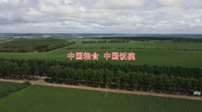 端牢中國(guó)飯碗，歡慶第42個(gè)世界糧食日！